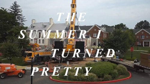 Video post from saeslions.