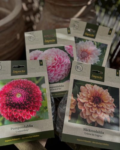 Photo post from blomsterborsen.