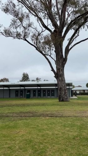 Video post from alburycity.