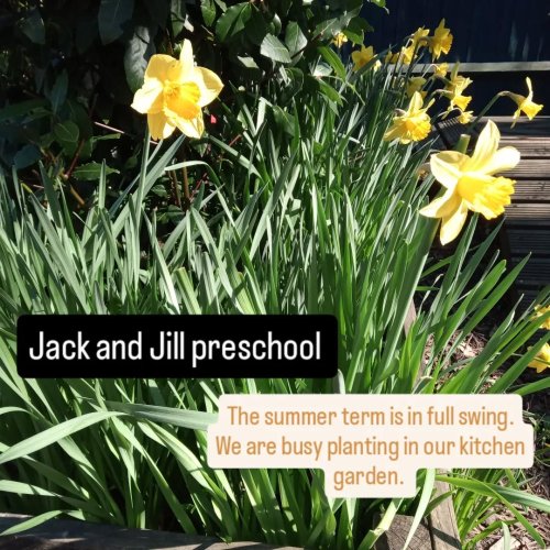Photo post from jack.jill.preschool.