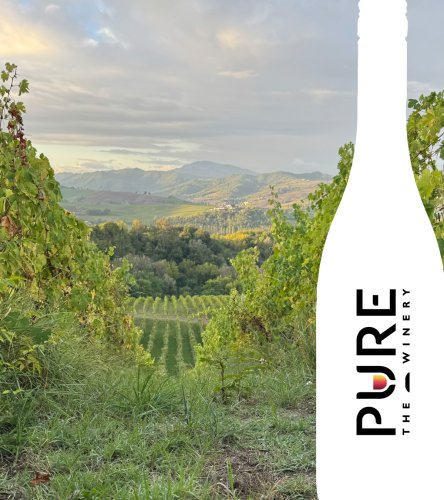 Photo post from purethewinery.