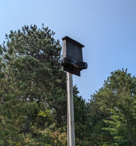 Photo post from pineryprovpark.