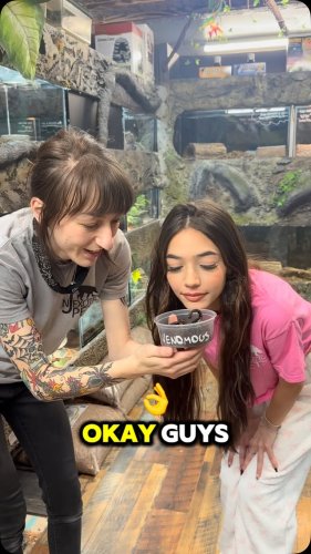 Video post from njexoticpets.