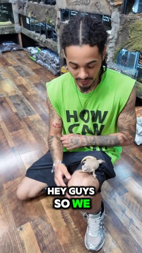 Video post from njexoticpets.