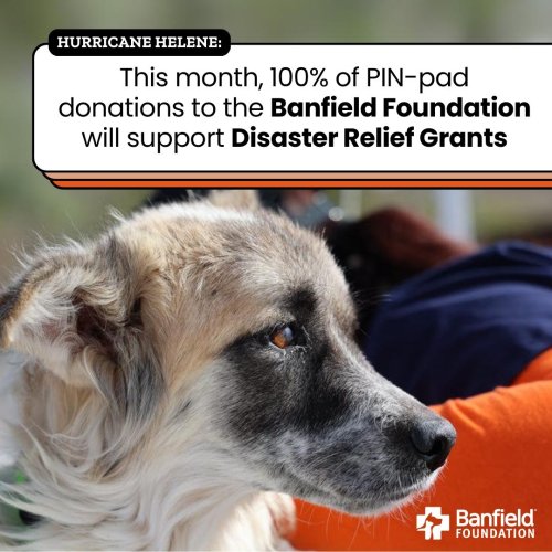 Photo post from banfieldpethospital.