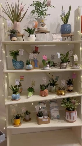 Video post from kerrigallery_wpa.