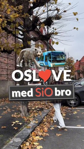 Video post from siostudentliv.