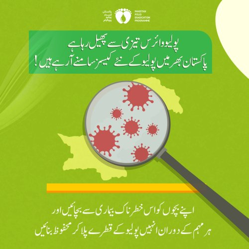 Photo post from pakfightspolio.