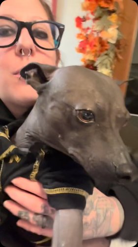 Video post from njexoticpets.