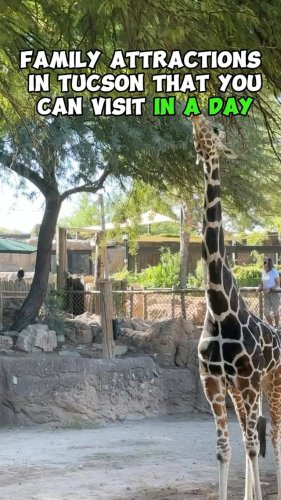 Video post from visittucson.