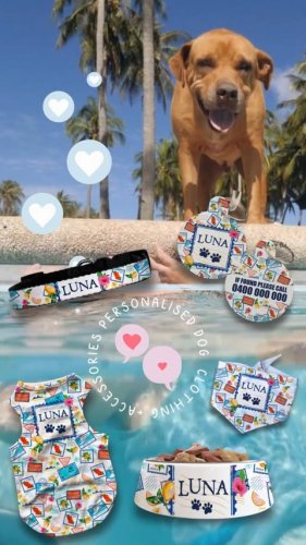 Video post from furrypeeps.