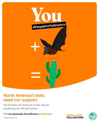 Photo post from cecnorthamerica.