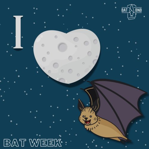 Photo post from batbnb.