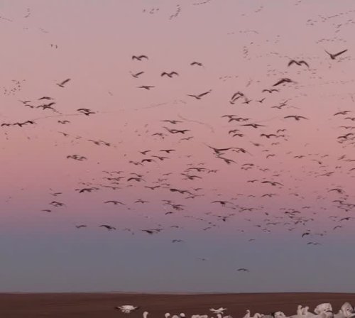 Video post from northernskiesoutfitters.