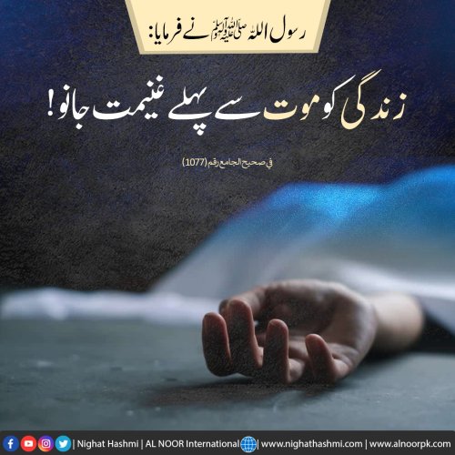 Photo post from nighathashmi.
