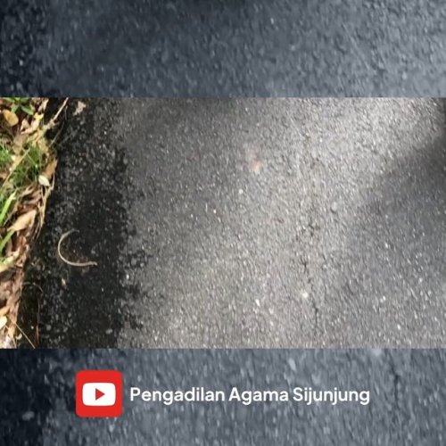 Video post from pasijunjung.