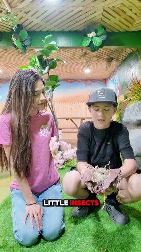Video post from njexoticpets.