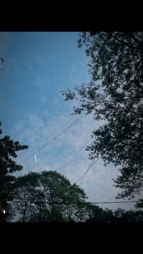 Video post from ninety_fiveeeee.