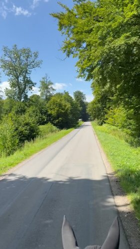 Video post from michellekolding.