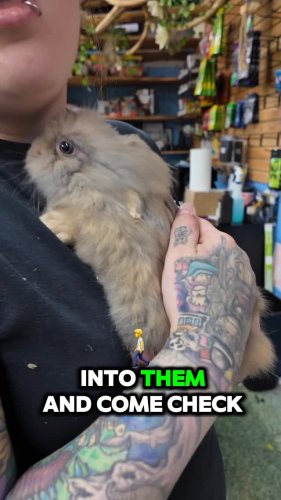 Video post from njexoticpets.