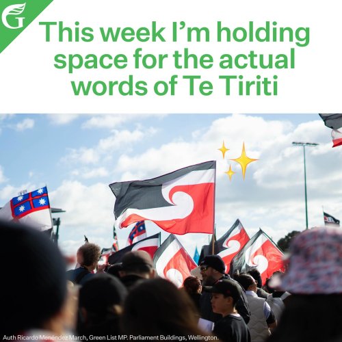 Carousel post from nzgreenparty.