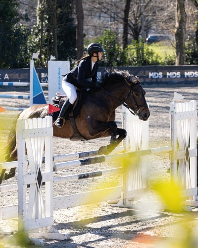 Photo post from cmarques_photography.