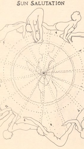 Video post from currumbinvalleyharvest.