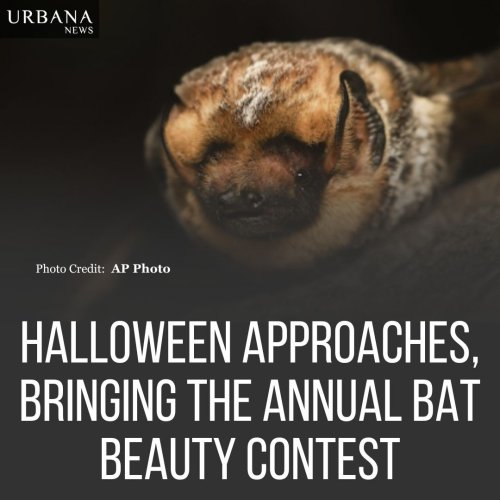 Photo post from urbananewsroom.