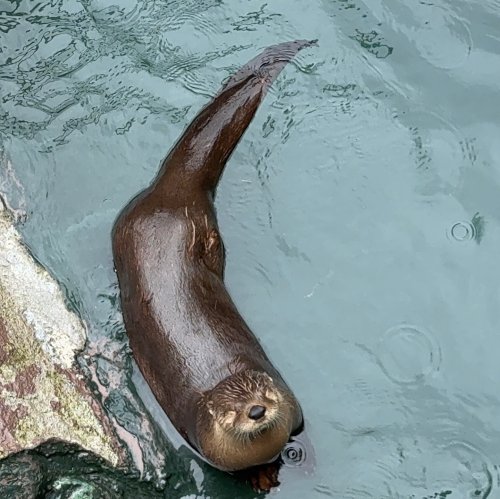 Carousel post from lifefullofjoys2.