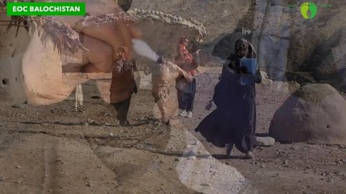 Video post from pakfightspolio.