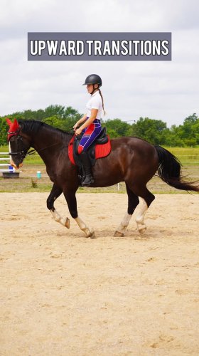 Video post from riding.with.sienna.