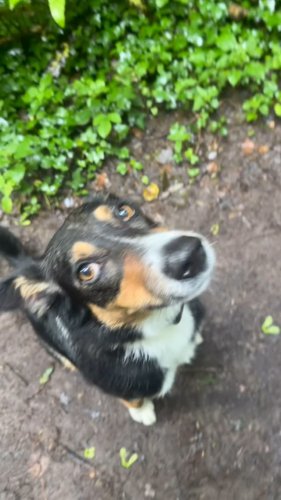 Video post from pipsadventurewalks.