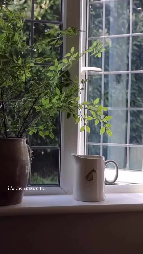 Video post from briiv.natural.