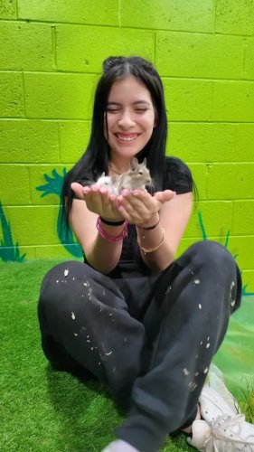Video post from njexoticpets.