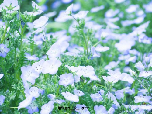 Photo post from kon_s_art.