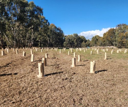 Photo post from alburycity.