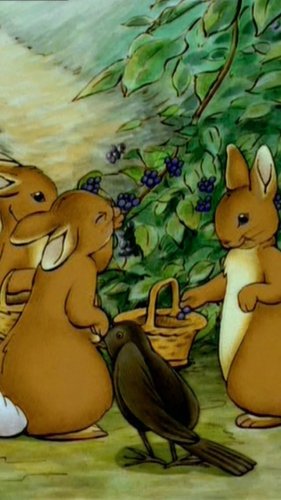 Peter Rabbit 花柄ローファー Peter Rabbit 花柄ローファー - 靴安価