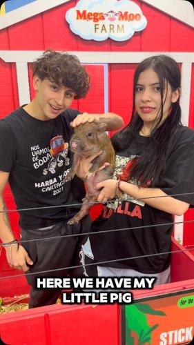 Video post from njexoticpets.
