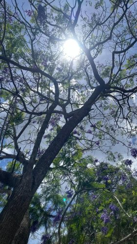 Video post from sylvanali.reiki.andbeyond.