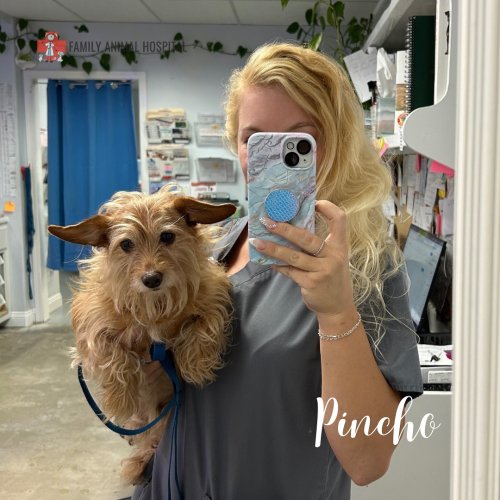 Photo post from familyanimalhospitalcm.