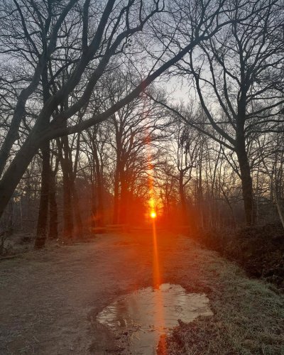 Photo post from visitoirschot.