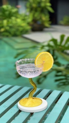 Video post from crane_living.