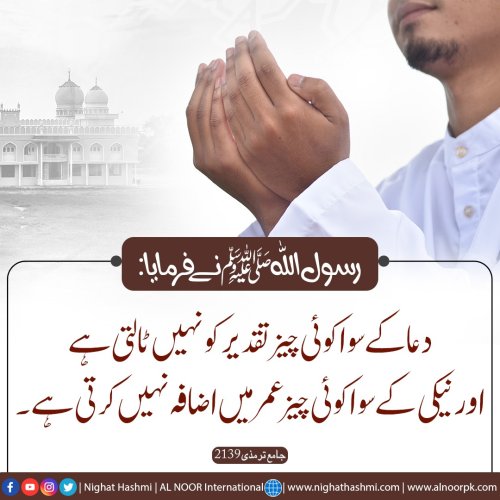Photo post from nighathashmi.