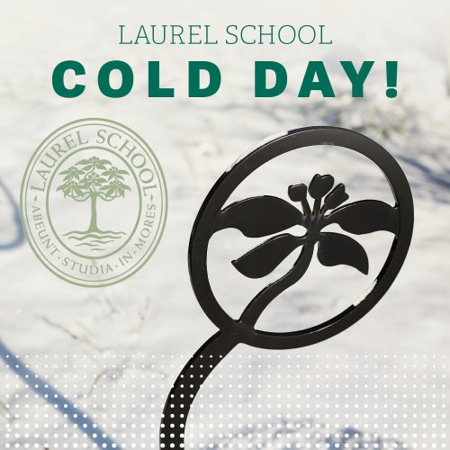 Photo post from laurelschool.