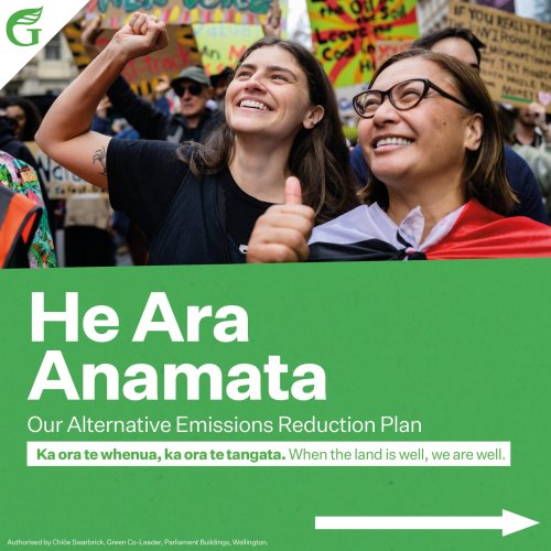 Carousel post from nzgreenparty.