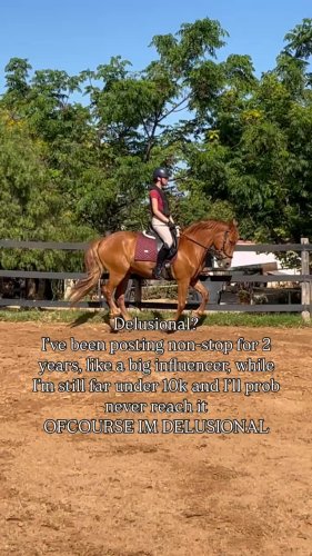 Video post from sara.c_horses.