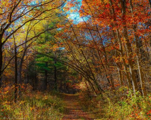 Photo post from imagewithvision.