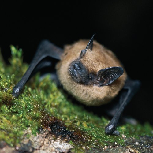Photo post from fcnaturalareas.