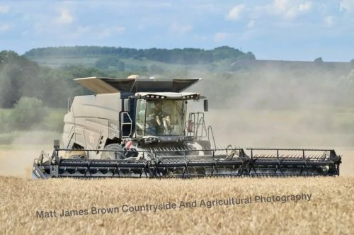 Carousel post from crowmarshbattlefarms.