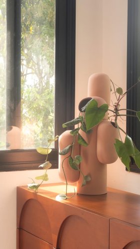 Video post from crane_living.